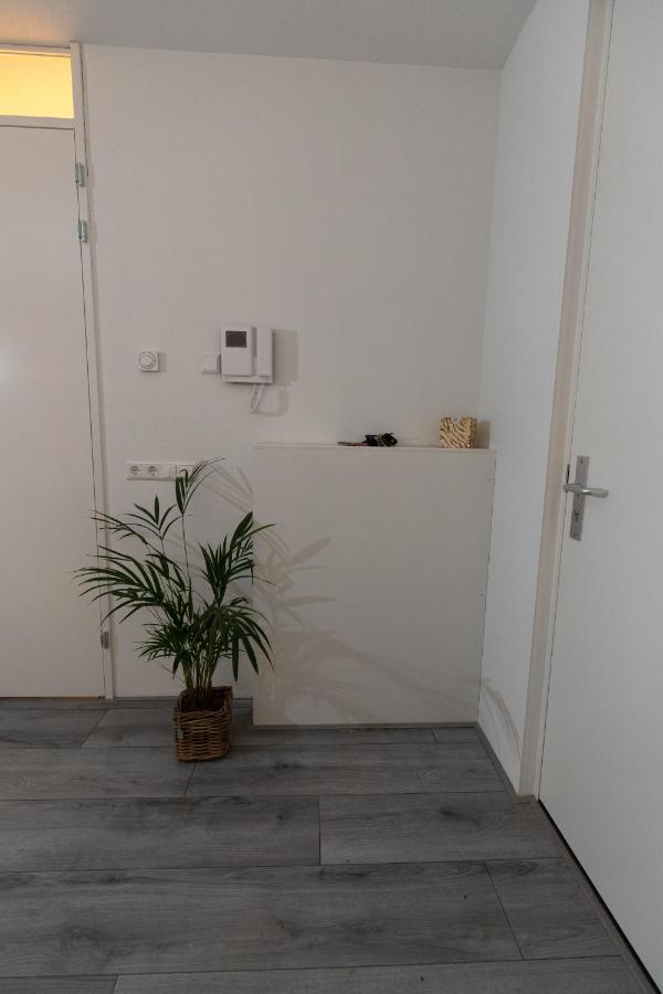 Greenstay أمستردام المظهر الخارجي الصورة